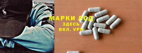прущий лед Бородино