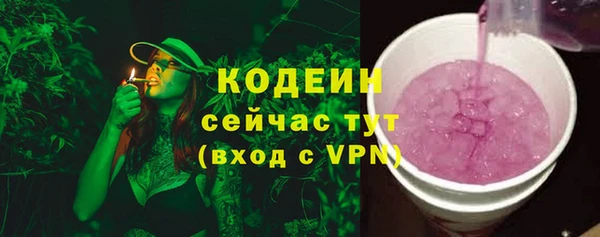 прущий лед Бородино