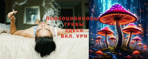 прущий лед Бородино