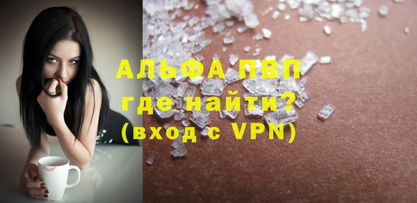 прущий лед Бородино